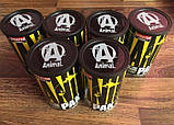 Вітаміни Анімал пак Universal Animal Pak 15 пакетів Мінеральний комплекс для спортсменів, фото 6