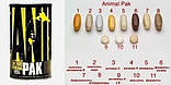 Вітаміни Анімал пак Universal Animal Pak 15 пакетів Мінеральний комплекс для спортсменів, фото 7