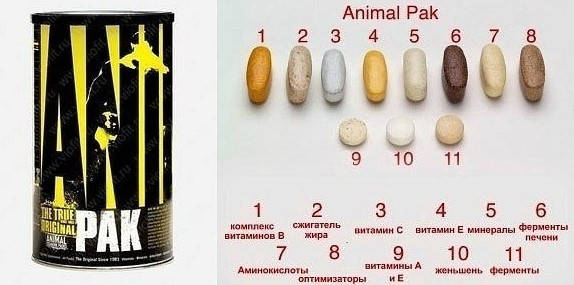 Купить Витамины Анимал пак Universal Animal Pak 15 пакета Минеральный комплекс для спортсменов, цена 623 ₴ — Prom.ua (ID#1332964258)