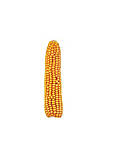 Кукурудза (насіння) Kosmo230, фото 2