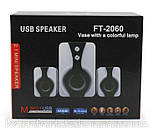 Колонки комп'ютерні USB FT-2060, чорно-білі, фото 3