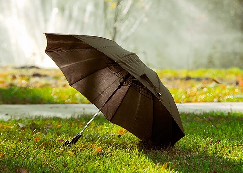 Зонт мужской полный автомат . Хороший выбор мужских зонтов автомат ...