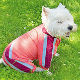 Костюм «Барни» М, фото 3