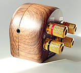 Усилитель звука в деревянном корпусе ТРА3116 2х50Вт Bluetooth 5.0 USB Type-C, AUX, DC-24V, фото 3