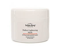Маска "Перфект" Антиоксидантна (боротьба з фотостарінням) Perfect Mask With Light AHA Acids, 120 мл