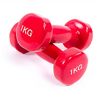 Виниловые гантели для фитнеса 2 шт по 1 кг 80022-V1, Красный: Gsport