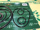 Ремкомплект фільтра обприскувача Agroplast, Arag 160 л/м Фільтри на обприскувач та запчастини, фото 3