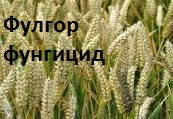 Фунгіцид Фулгор ( флутріафол 250)