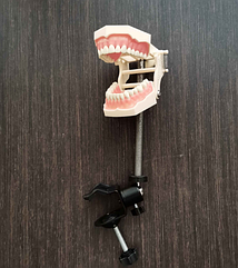 Щелепа Фантома SF2