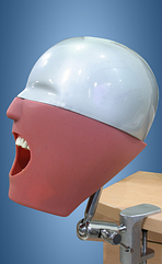 Манекен стоматологічний