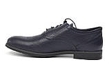 Сині оксфорди броги туфлі шкіряні чоловіче взуття великих розмірів Rosso Avangard Felicete Floto Blu BS, фото 2