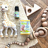 Вітамін Д-3 для дітей, Baby Vitamin D3, California Gold Nutrition, у краплях, 400 МО (10 мкг), 10 мл, фото 5