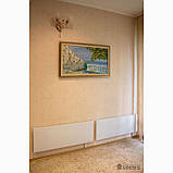 Металокерамічний інфрачервоний нагрівач UDEN-500 D Універсал, фото 6