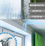 Набір від плісняви на вікнах 3 в 1, фото 4