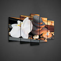 Модульная картина на холсте 2x20x30 см, 2x20x40 см, 1x20x50 см Орхидея на камнях (PS128S19)