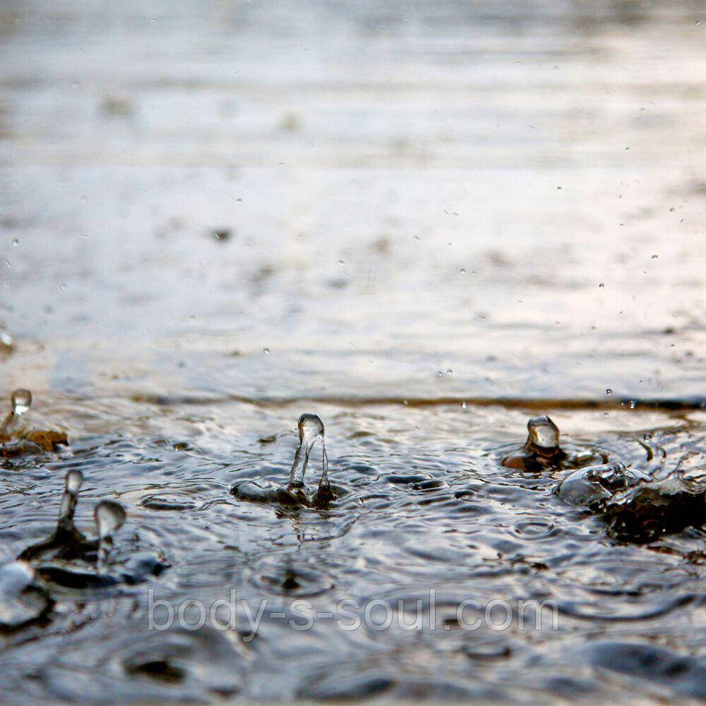 After the Rain №2, про-ль США (Brambleberry), ваніль 0%