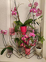 Подставка для цветов на 7 колец для орхидей "Сердце-2"