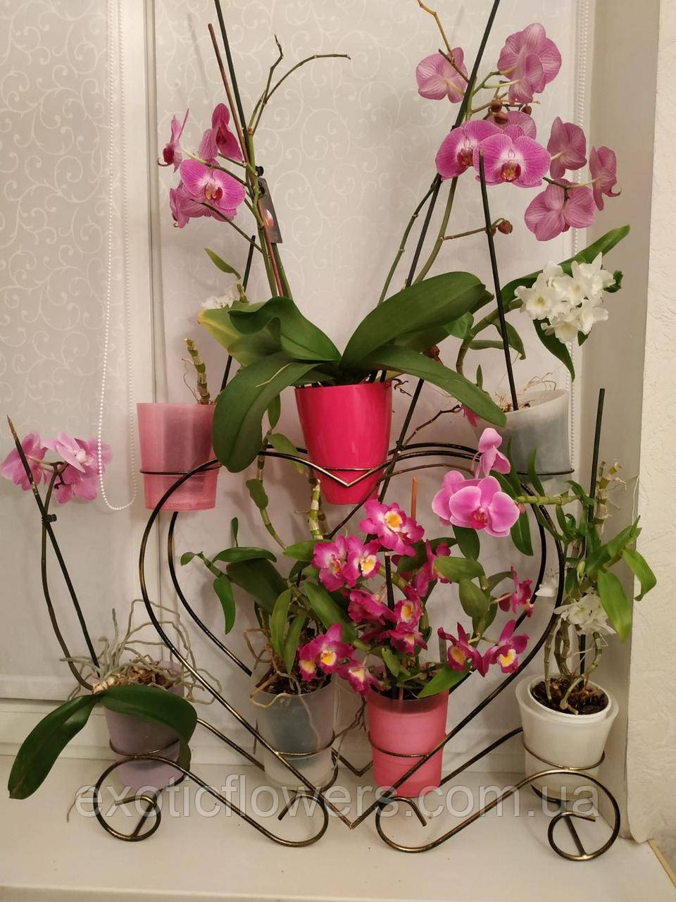 Подставка для цветов на 7 колец для орхидей "Сердце-2" - фото 1 - id-p1257344749