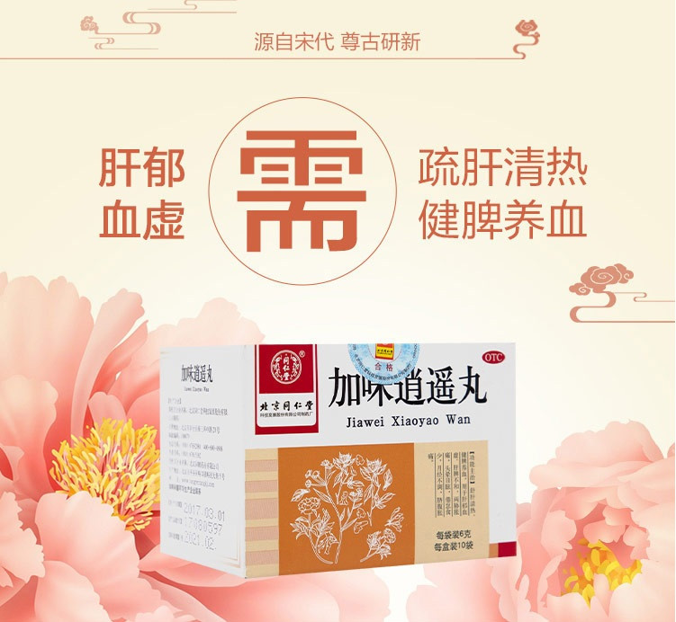 Пилюлі Jia Wei Xiao Yao Wan 10х6г Цзя Вей Сео Яо Вань, фото 1