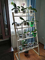 Стелаж-21, підставка для балконних ящиків і орхідей