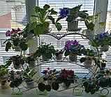 Підставка для квітів на 20 чаш "Фіалка-2", фото 5