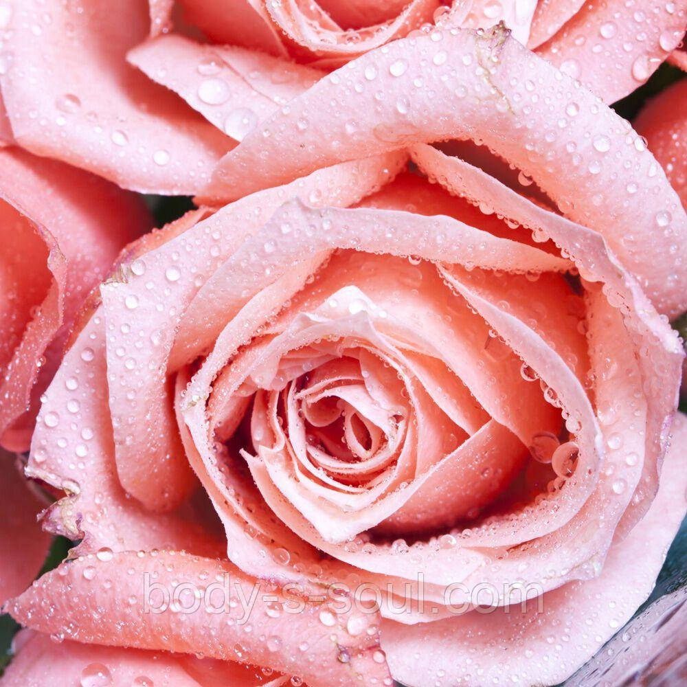 Dewy Rose №20, виробник США (Brambleberry), ваніль 0%
