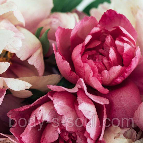 Peony and Amberwood №43, про-ль США (Brambleberry), ваніль 0%