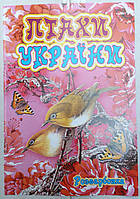 Розмальовка А4 (4листа) Птахи України