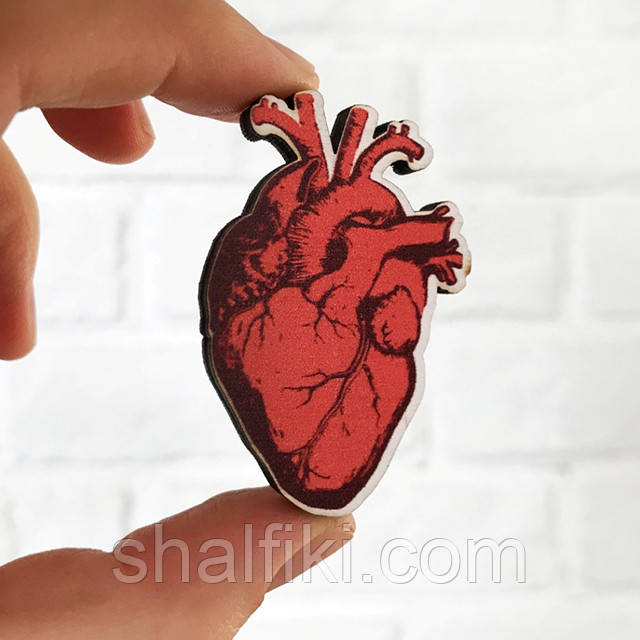 "Серце анатомічне" брошка дерев'яна з уф-друком