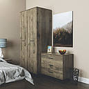 Шафа розпашна у спальню, вітальню з ламінованої ДСП Ascet дуб фрегат Artinhead, фото 2