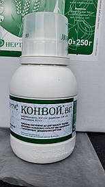 Конвой, 0,25 кг — гербіцид за ЗІРНОВИМ (трибенурон-метил, 300, флорасулам, 105; тріасульфурон, 95). Нертус
