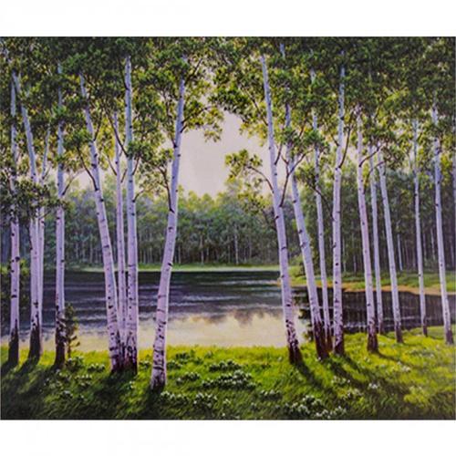 Алмазна мозаїка 40х50 см DIY Березовий гай (SL 74639)