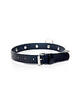 Нашийник Fetish Boss Series Collar With Studs, 2 см, фото 2