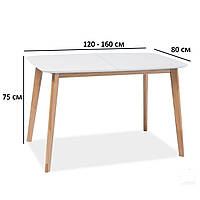 Обеденный стол серый Intarsio Exen II 120-160x80см с раздвижной столешницей, ножками бук в скандинавском стиле