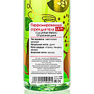 Парфумований спрей для тіла Cucumber Melon 236 ml LK-11, фото 2