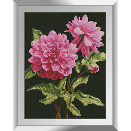 31644 Жоржини Набор алмазной живописи, фото 1