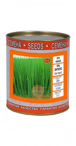 Насіння цибулі Энтито (на перо) у банку 0.25 кг