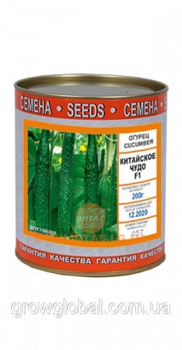 Насіння огірків Китайське Диво F1 в банку 0.2 кг