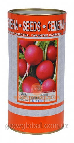 Насіння редиски Ілке (всесезонний) у банку 0.5 кг