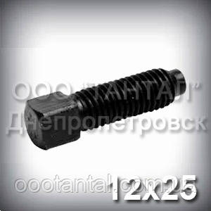 Гвинт М12х25 ГОСТ 1482-84 установлювальний з квадратною головкою і цапфою DIN 479, фото 1
