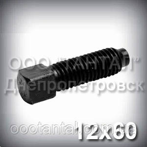 Гвинт М12х60 ГОСТ 1482-84 установлювальний з квадратною головкою і цапфою DIN 479, фото 1