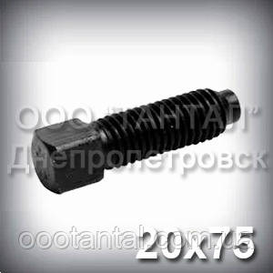 Гвинт М20х75 ГОСТ 1482-84 установлювальний з квадратною головкою і цапфою DIN 479, фото 1