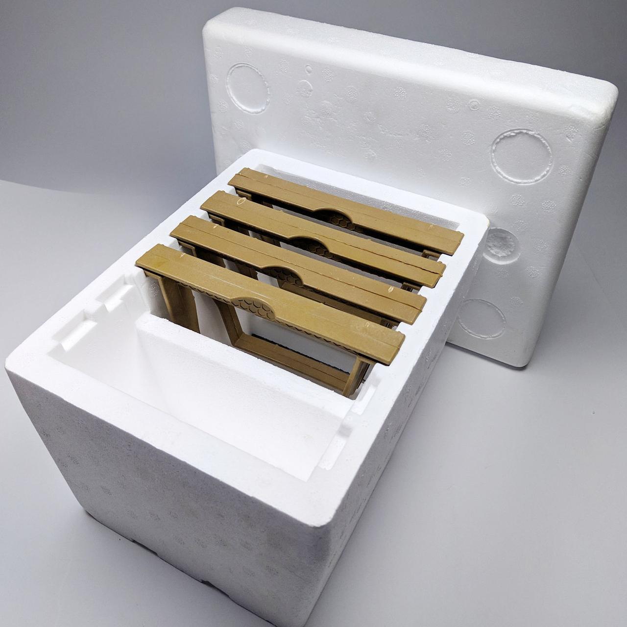 Нуклеус на 1 сім'ю, на 4 рамки, пінополістирол, з рамками (Туреччина)