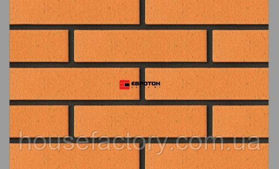 Клінкерна цегла євротон Палермо 250*120*65мм, фото 1