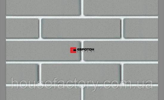 Клінкерна цегла євротон Модена 250*120*65мм, фото 1