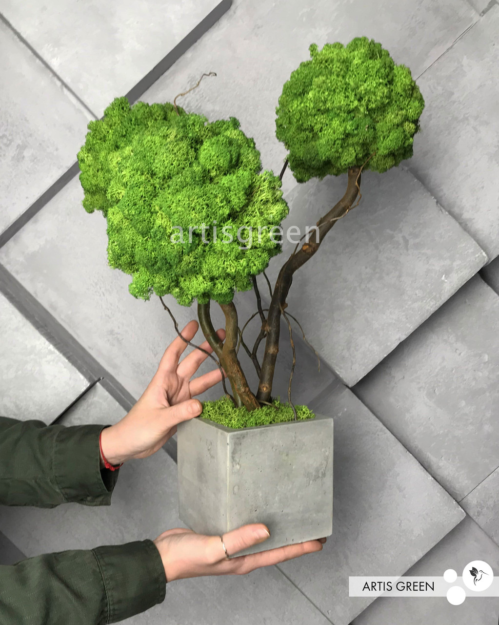 Стабілізоване дерево трьохствольне, топіарій із зеленого моху "Артіс Грін", без поливу та догляду!, фото 1