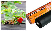 Агроволокно для клубники 60 г/м2, рулон 1,6*100м/п (160м2) Спанбонд черный