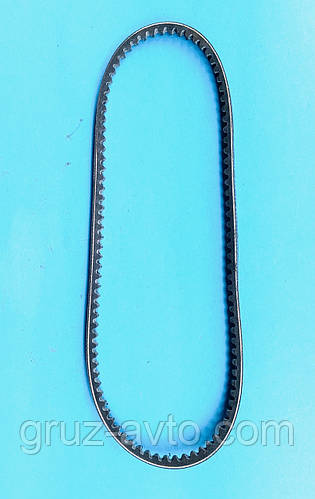 Купити Комплект ременів газ-53: генератора 8.5х8х833/вентилятора ...