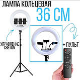 Кільцева лампа RL-14 з пультом + чохол + Штатив тринога (36см 220V 1 кріпл.тел.), фото 3