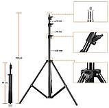 Набір постійного студійного світла Prolighting (50x70 см+ Лампи 65 Вт.), фото 10